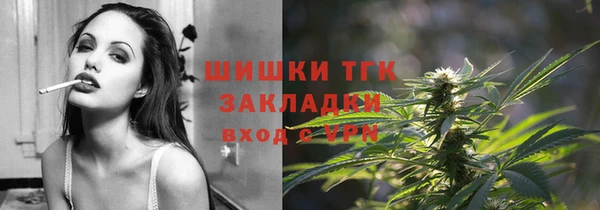 гашик Лабытнанги