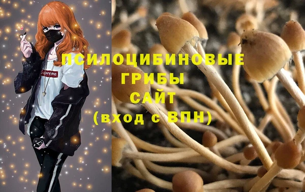 PSILOCYBIN Лагань