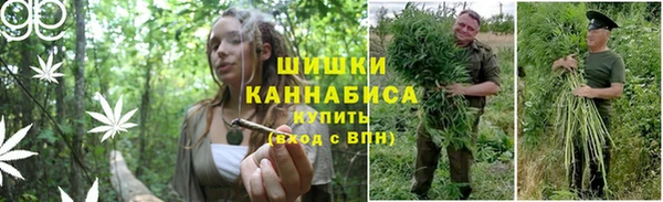 гашик Лабытнанги