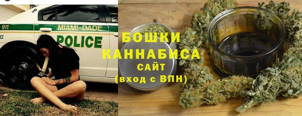 PSILOCYBIN Лагань