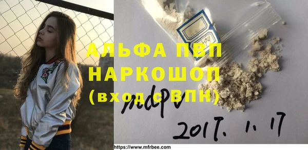 гашик Лабытнанги